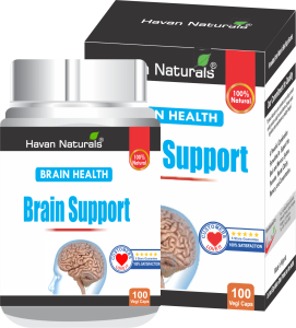 Brain Support2